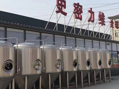 凤城精酿啤酒设备厂—如何判断精酿啤酒设备的密封件需要更换？